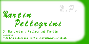 martin pellegrini business card